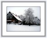 Winter01 * 640 x 480 * (61KB)